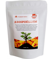 Azospirillum - Nitrogen Fixing Bacteria 1 Kg